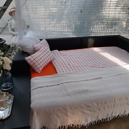 Gaestehaus Mimesis فوديس المظهر الخارجي الصورة